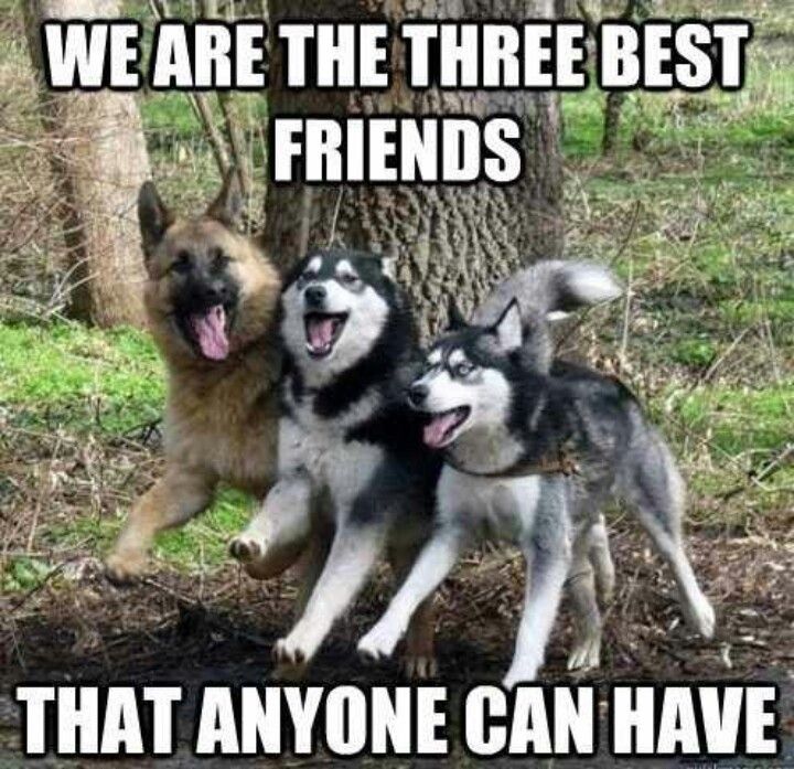 threebestfriends.jpg